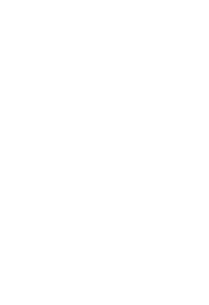 Logo branca Sowl Digital